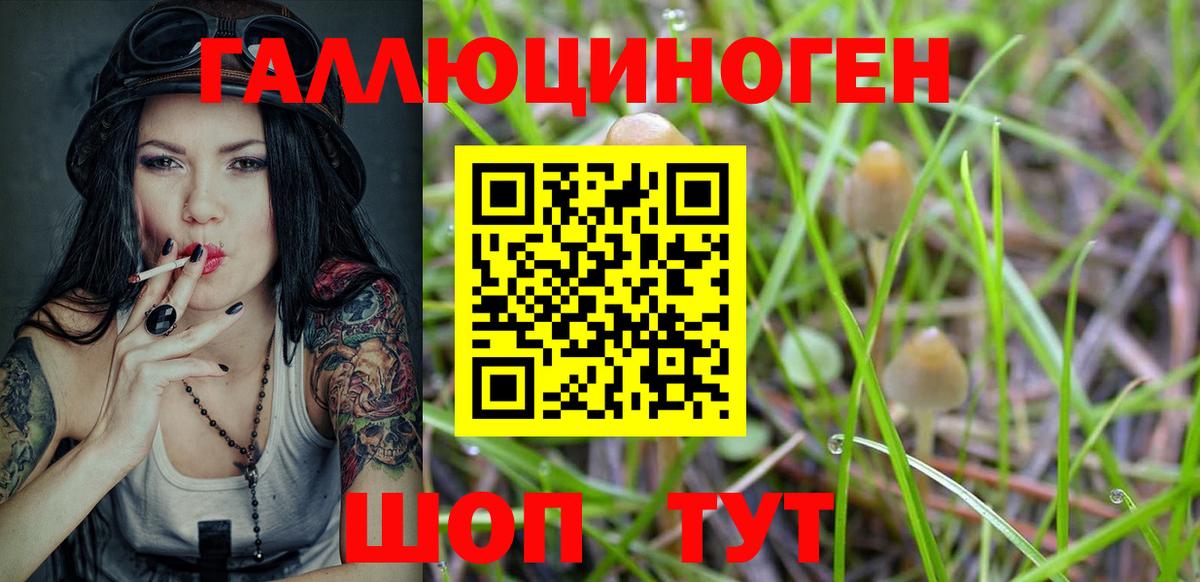 Псилоцибиновые грибы Psilocybe  Вход с VPN  Новоалтайск  Псилоцибиновые грибы Magic Shrooms 
